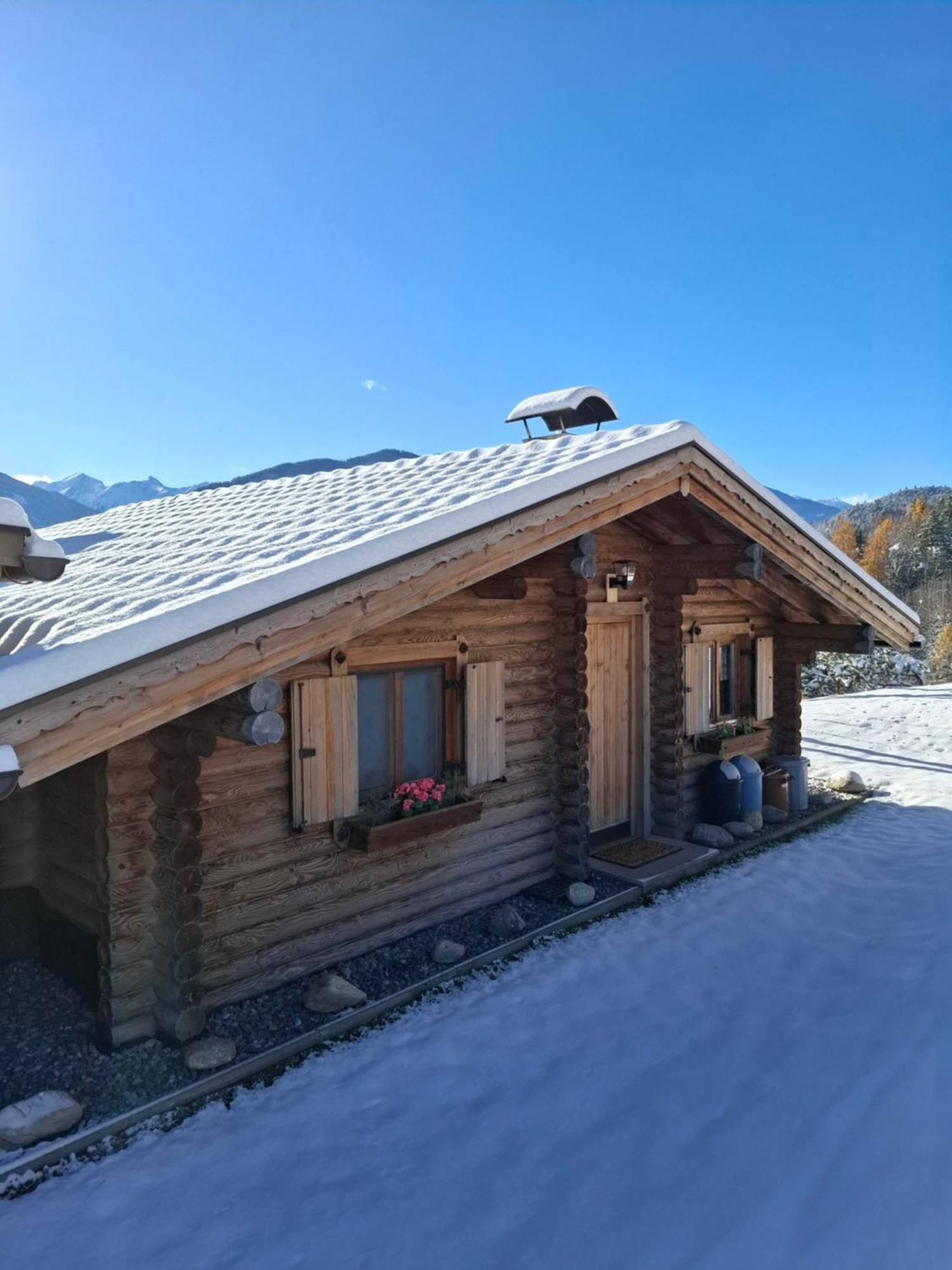 Apartment Tiroler Blockhaus
